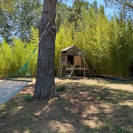 Vila Petit Mas Calme Typique Du Sud ! Valergues Exteriér fotografie