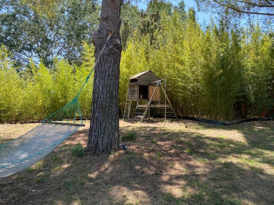 Vila Petit Mas Calme Typique Du Sud ! Valergues Exteriér fotografie